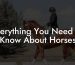 Everything You Need To Know About Horses