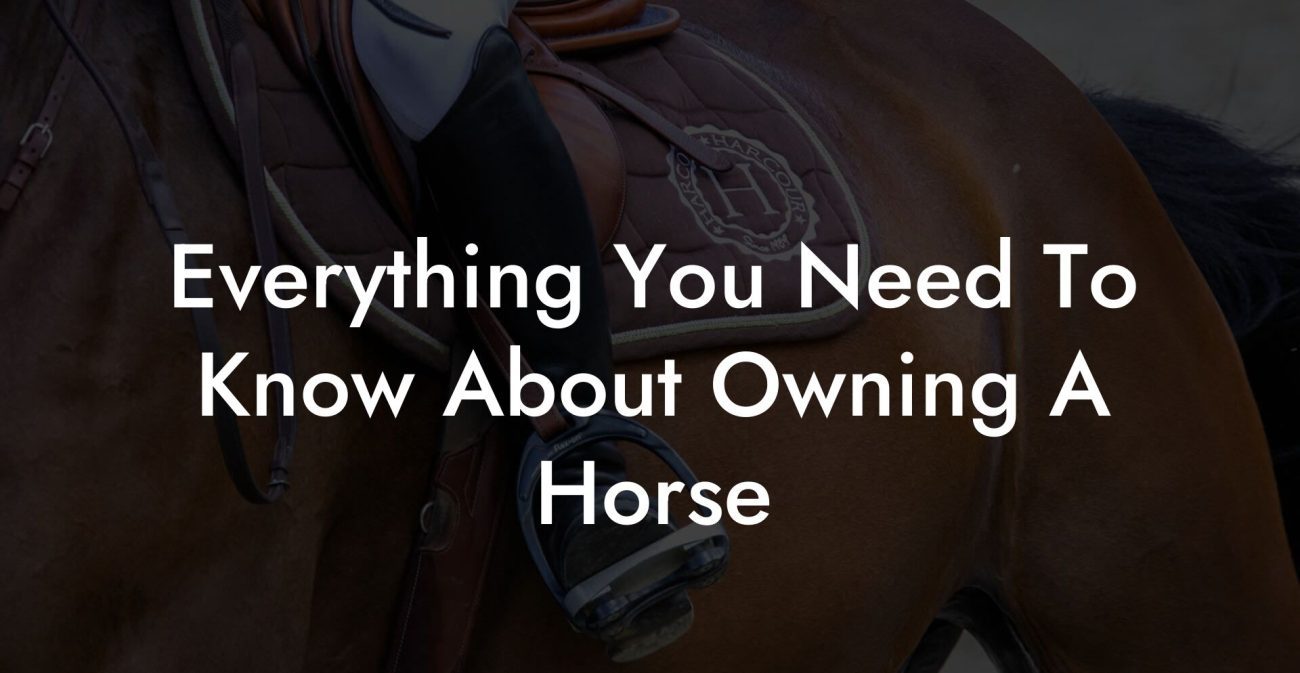 Everything You Need To Know About Owning A Horse