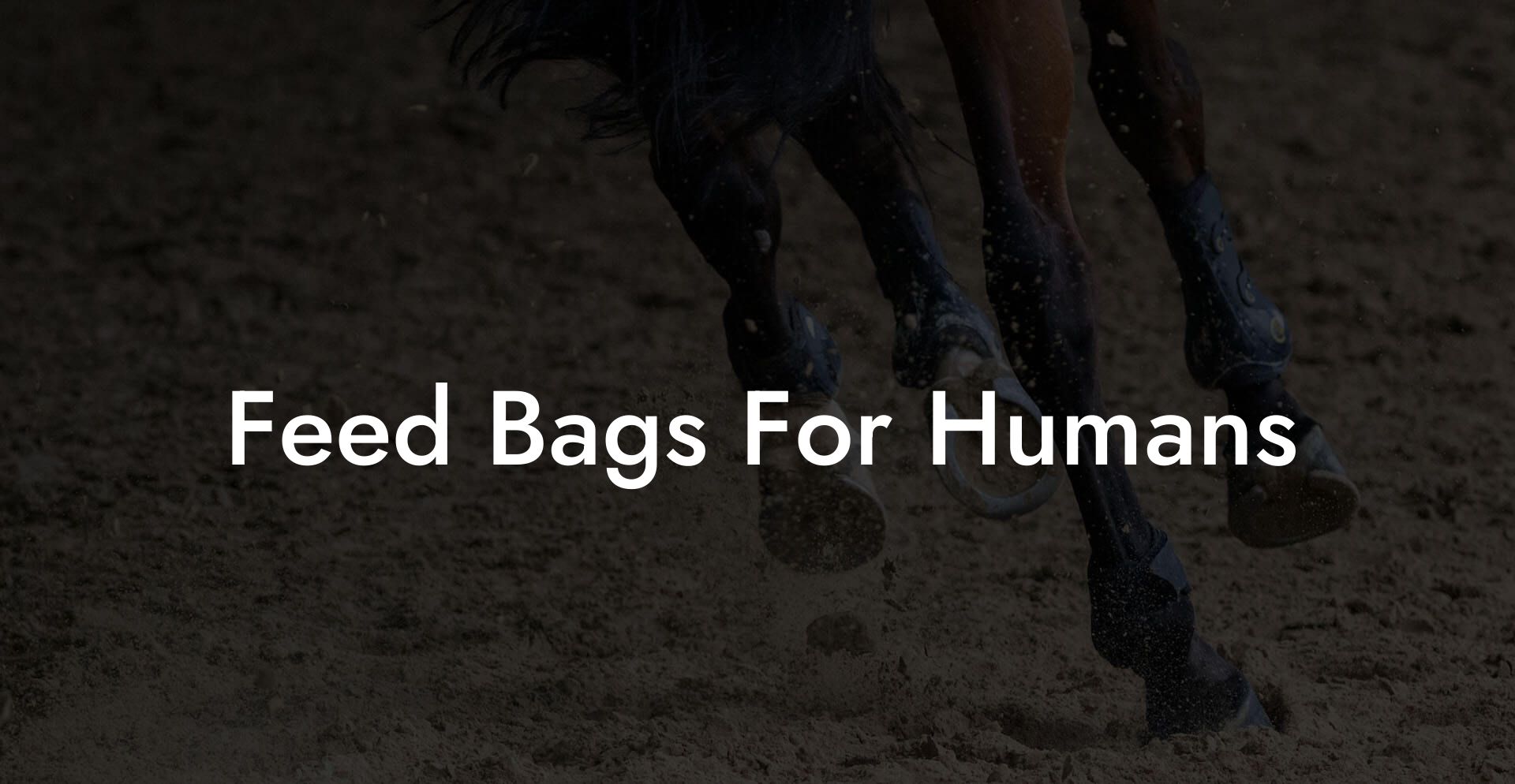 Feed Bags For Humans
