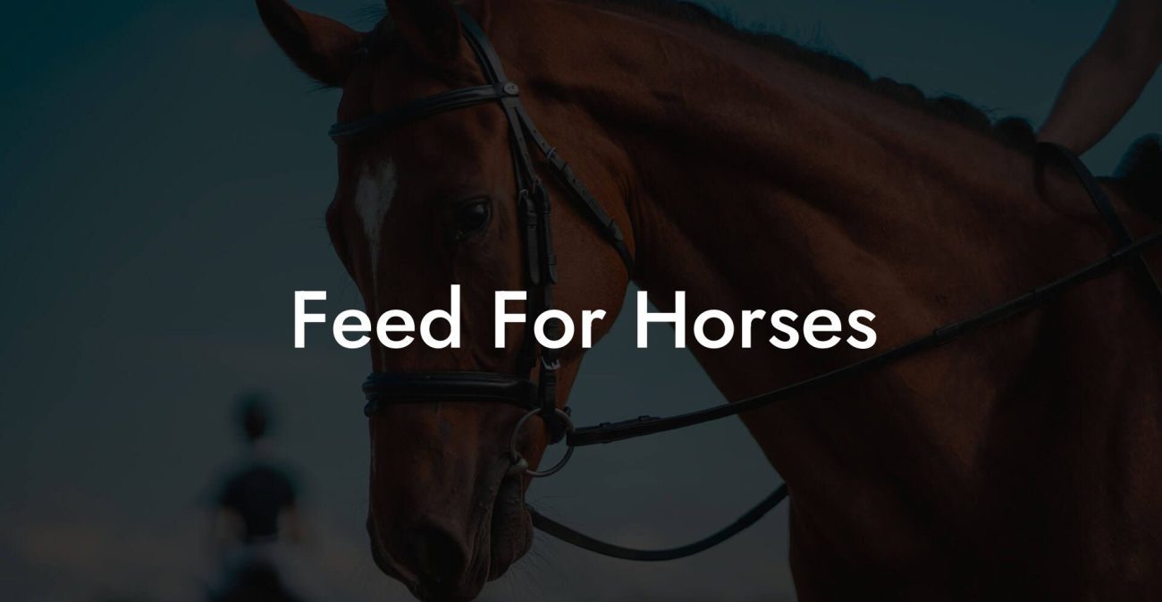 Feed For Horses