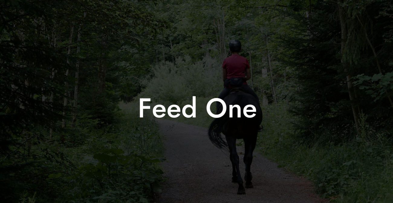 Feed One