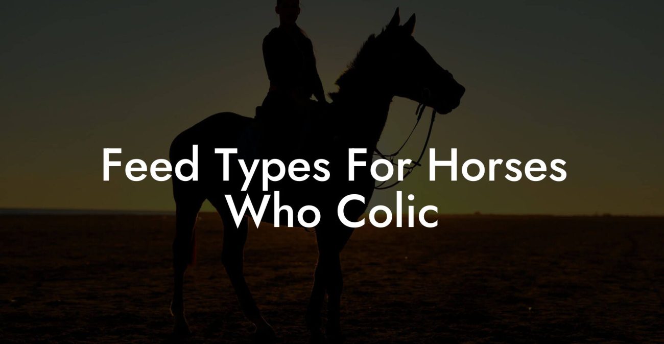 Feed Types For Horses Who Colic