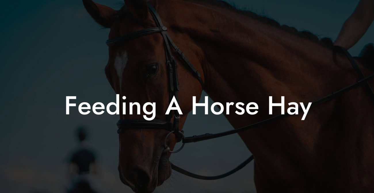 Feeding A Horse Hay
