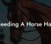 Feeding A Horse Hay