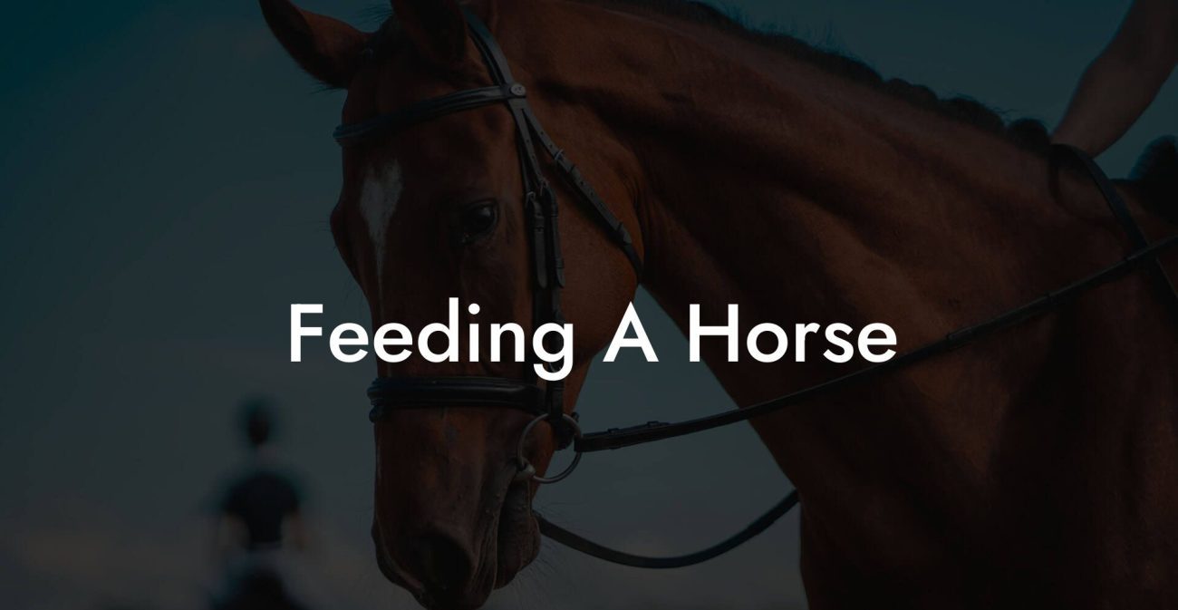 Feeding A Horse