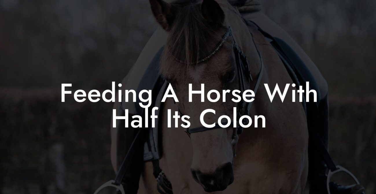 Feeding A Horse With Half Its Colon