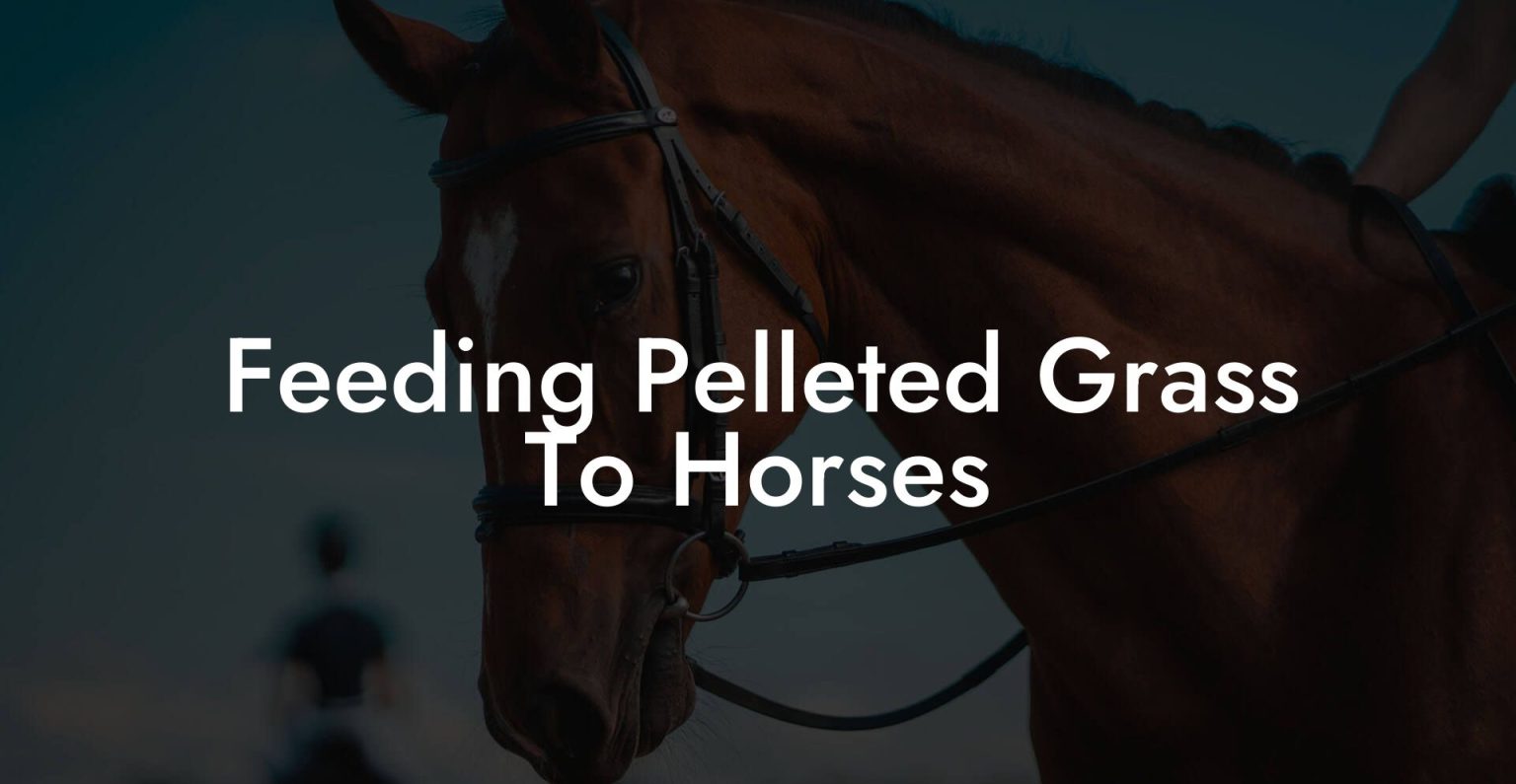 Feeding Pelleted Grass To Horses How To Own a Horse