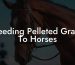 Feeding Pelleted Grass To Horses