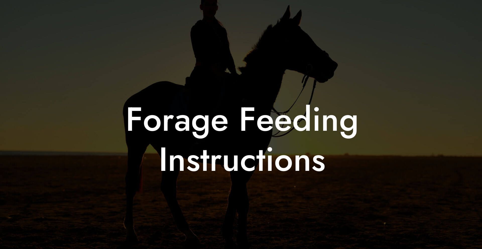 Forage Feeding Instructions