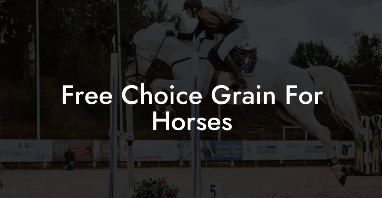 Free Choice Grain For Horses