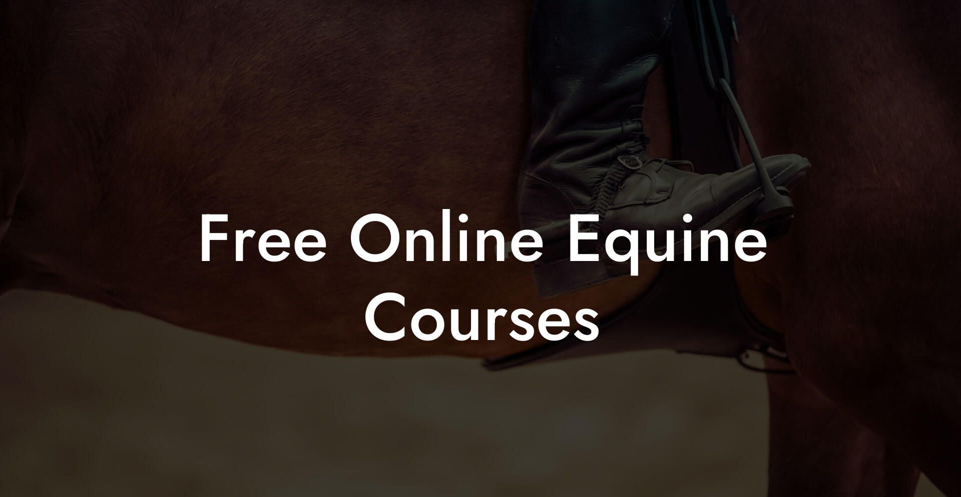 Free Online Equine Courses