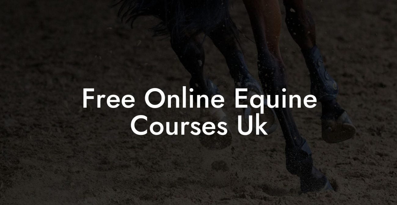 Free Online Equine Courses Uk