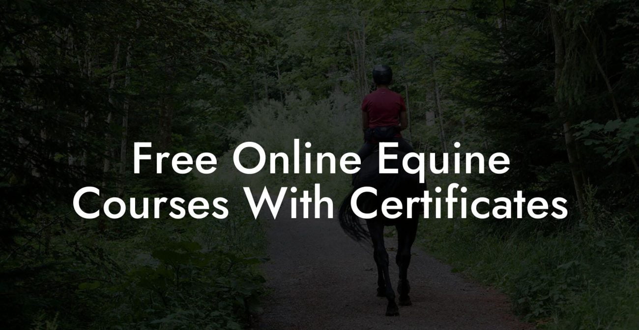 Free Online Equine Courses With Certificates