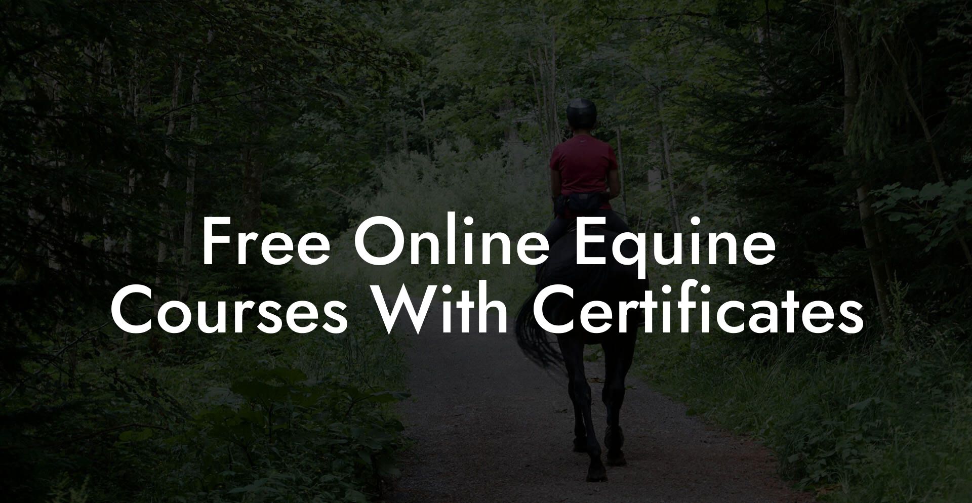 Free Online Equine Courses With Certificates How To Own a Horse