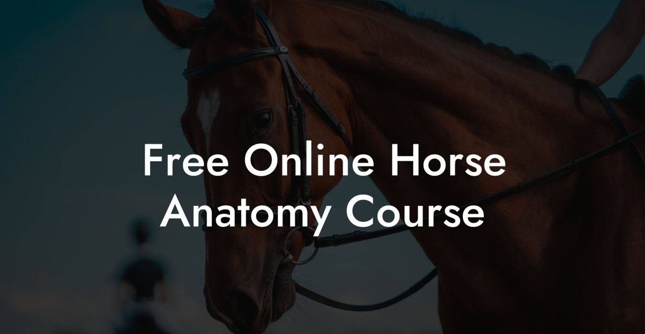 Free Online Horse Anatomy Course