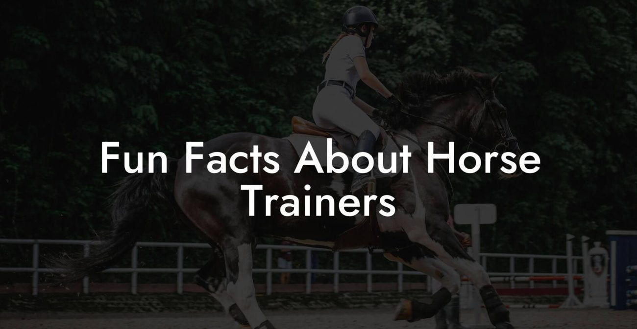 Fun Facts About Horse Trainers