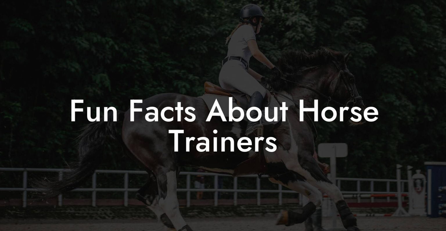 Fun Facts About Horse Trainers How To Own a Horse