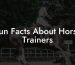 Fun Facts About Horse Trainers