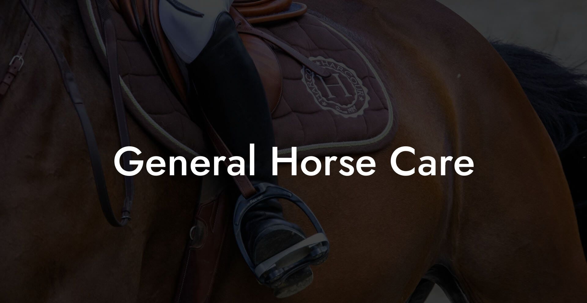 General Horse Care