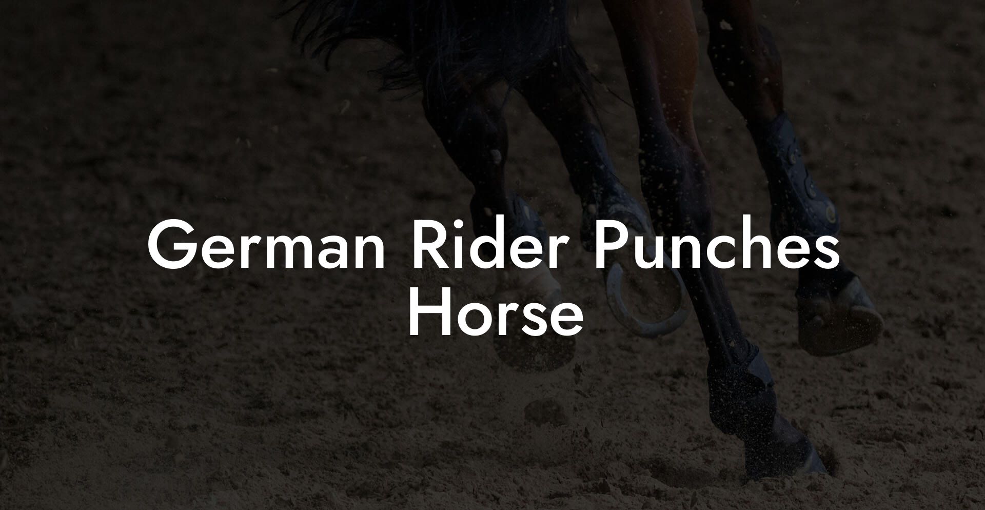 German Rider Punches Horse