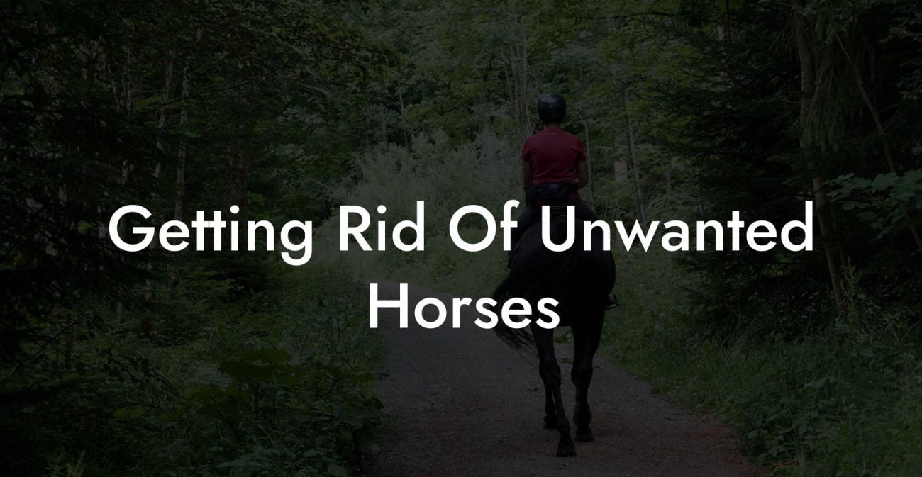Getting Rid Of Unwanted Horses