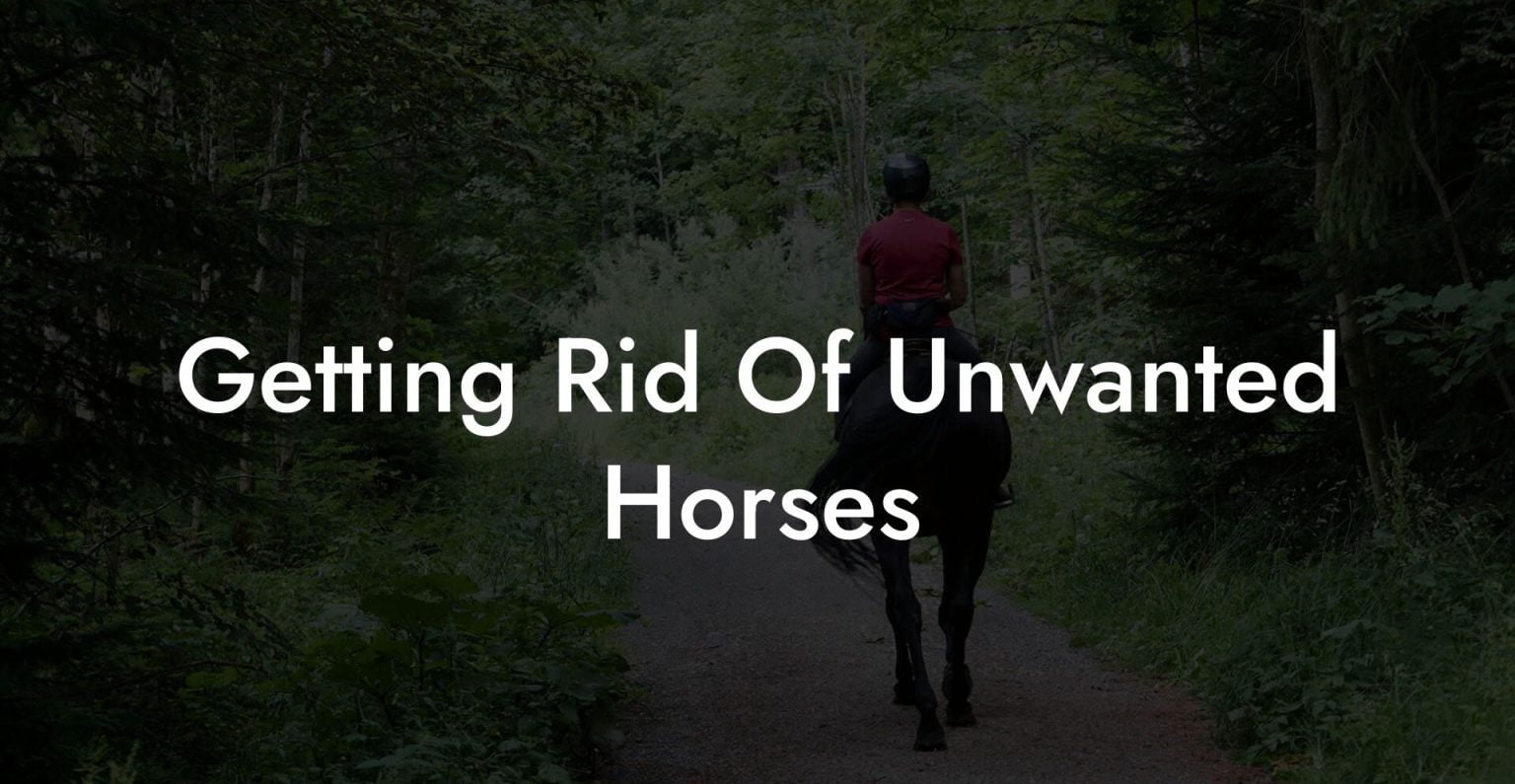 Getting Rid Of Unwanted Horses How To Own a Horse