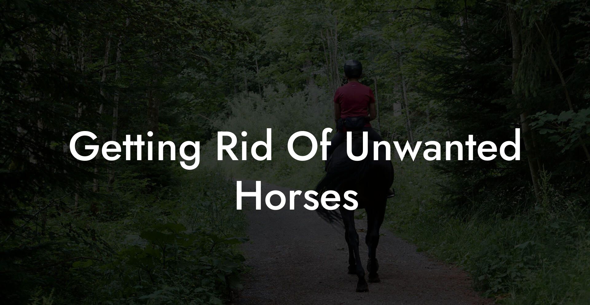 Getting Rid Of Unwanted Horses