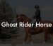 Ghost Rider Horse