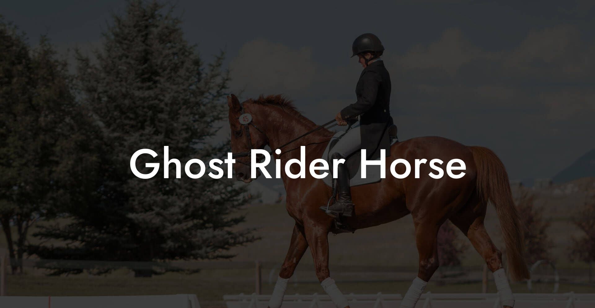 Ghost Rider Horse