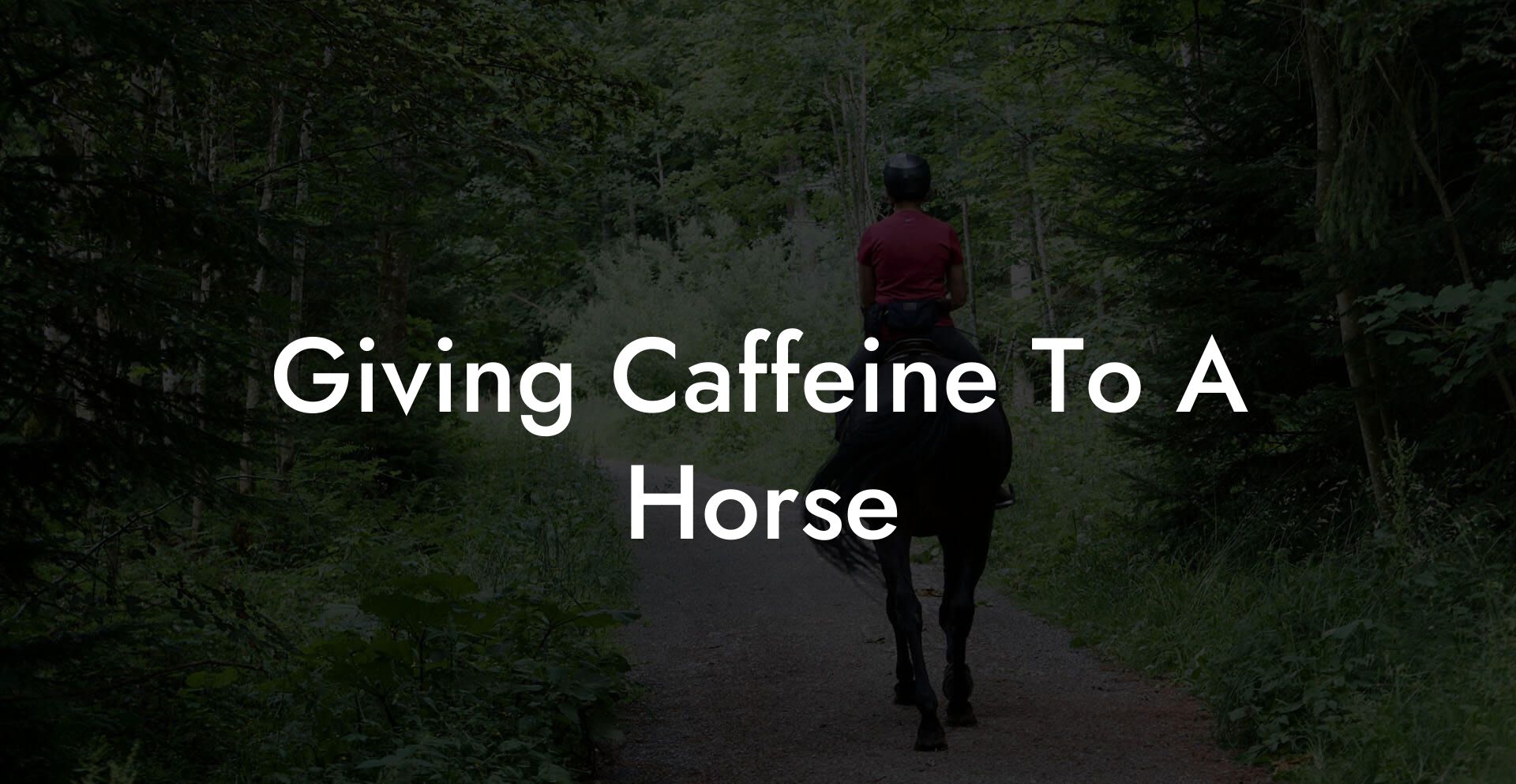 Giving Caffeine To A Horse