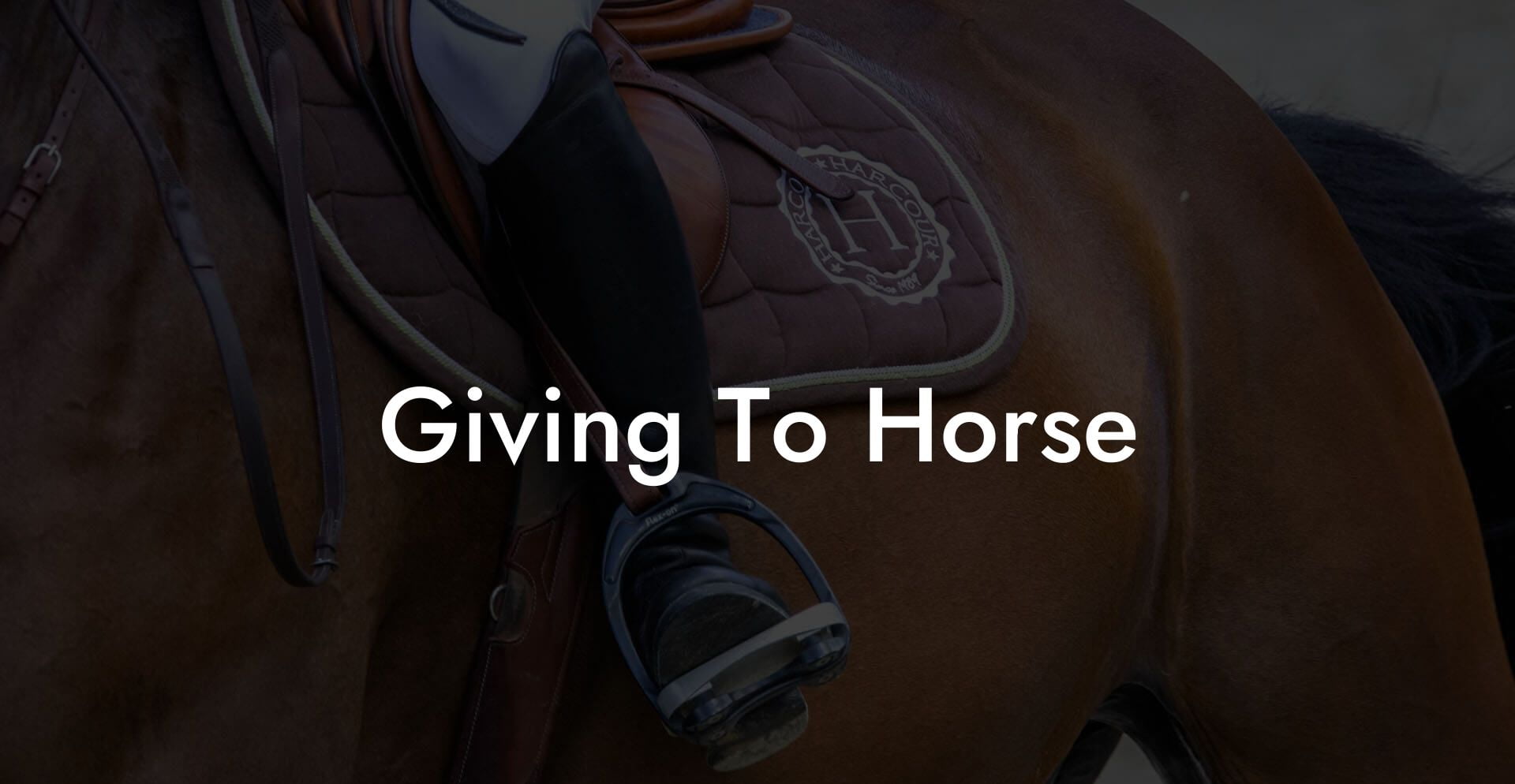 Giving To Horse