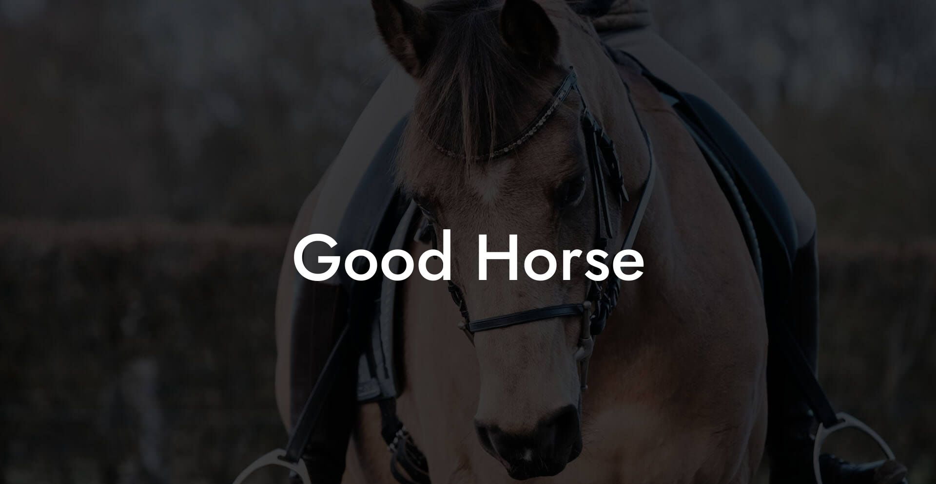 Good Horse