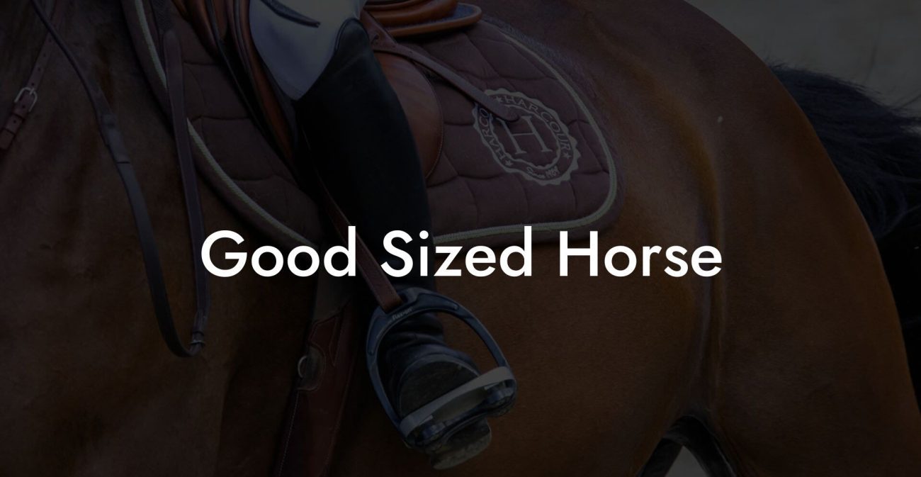 Good Sized Horse