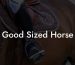 Good Sized Horse