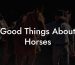 Good Things About Horses