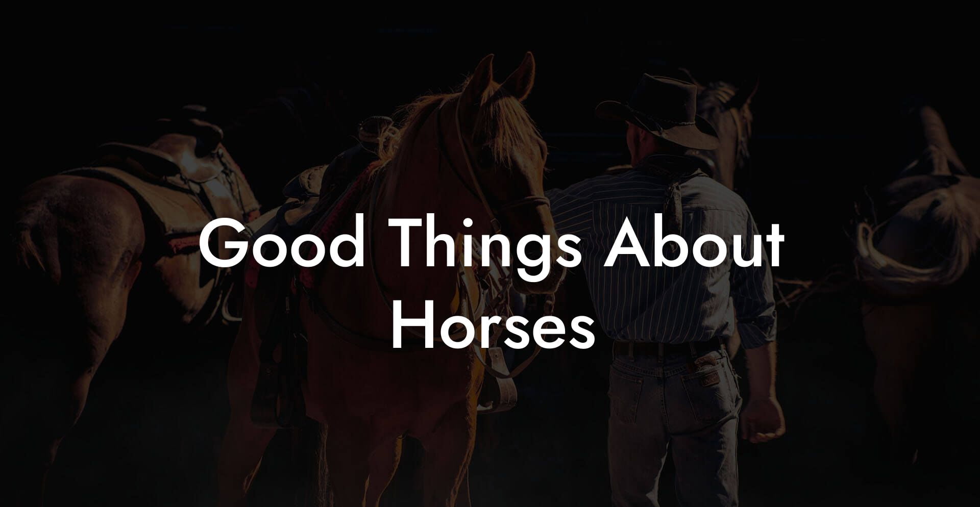 Good Things About Horses