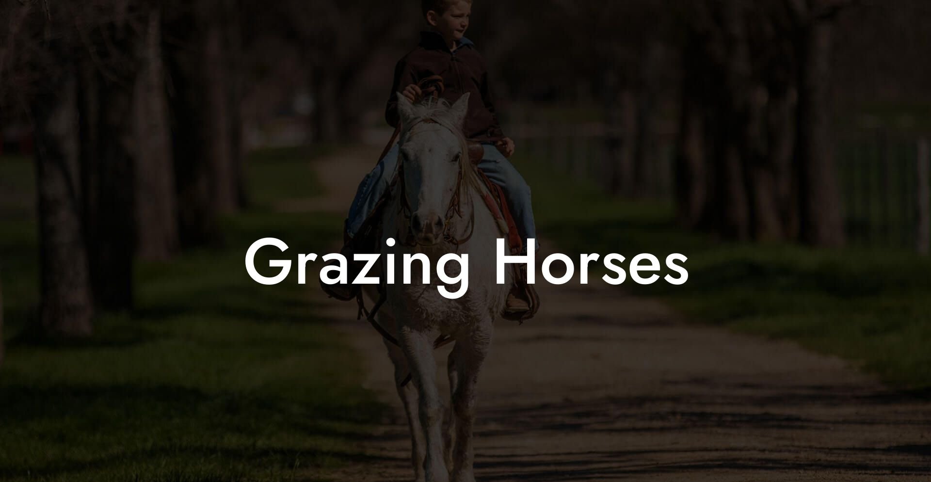 Grazing Horses