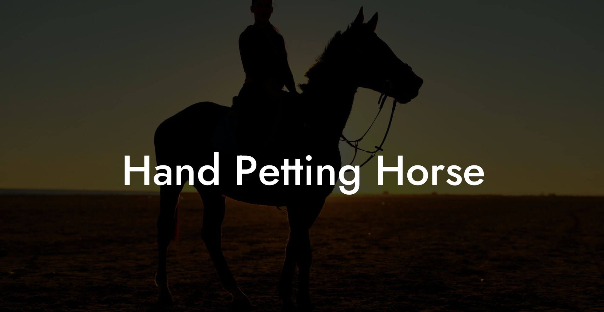 Hand Petting Horse