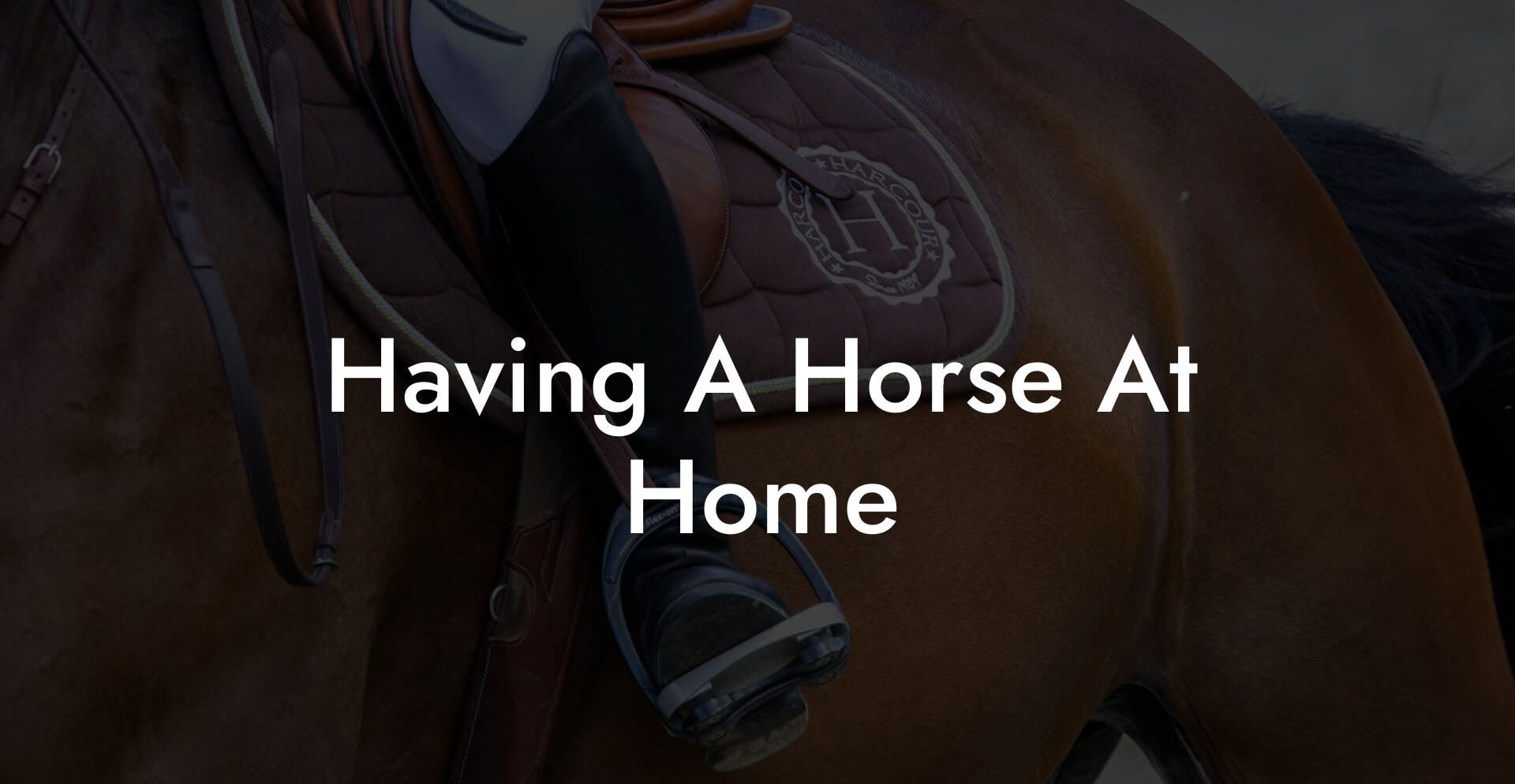 Having A Horse At Home
