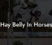 Hay Belly In Horses