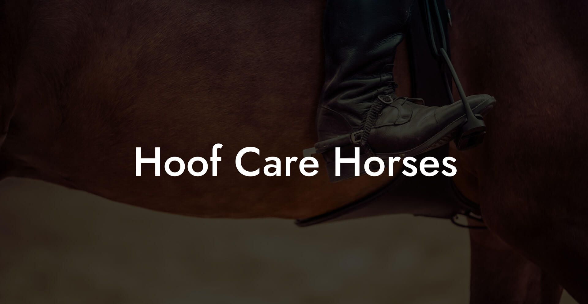 Hoof Care Horses