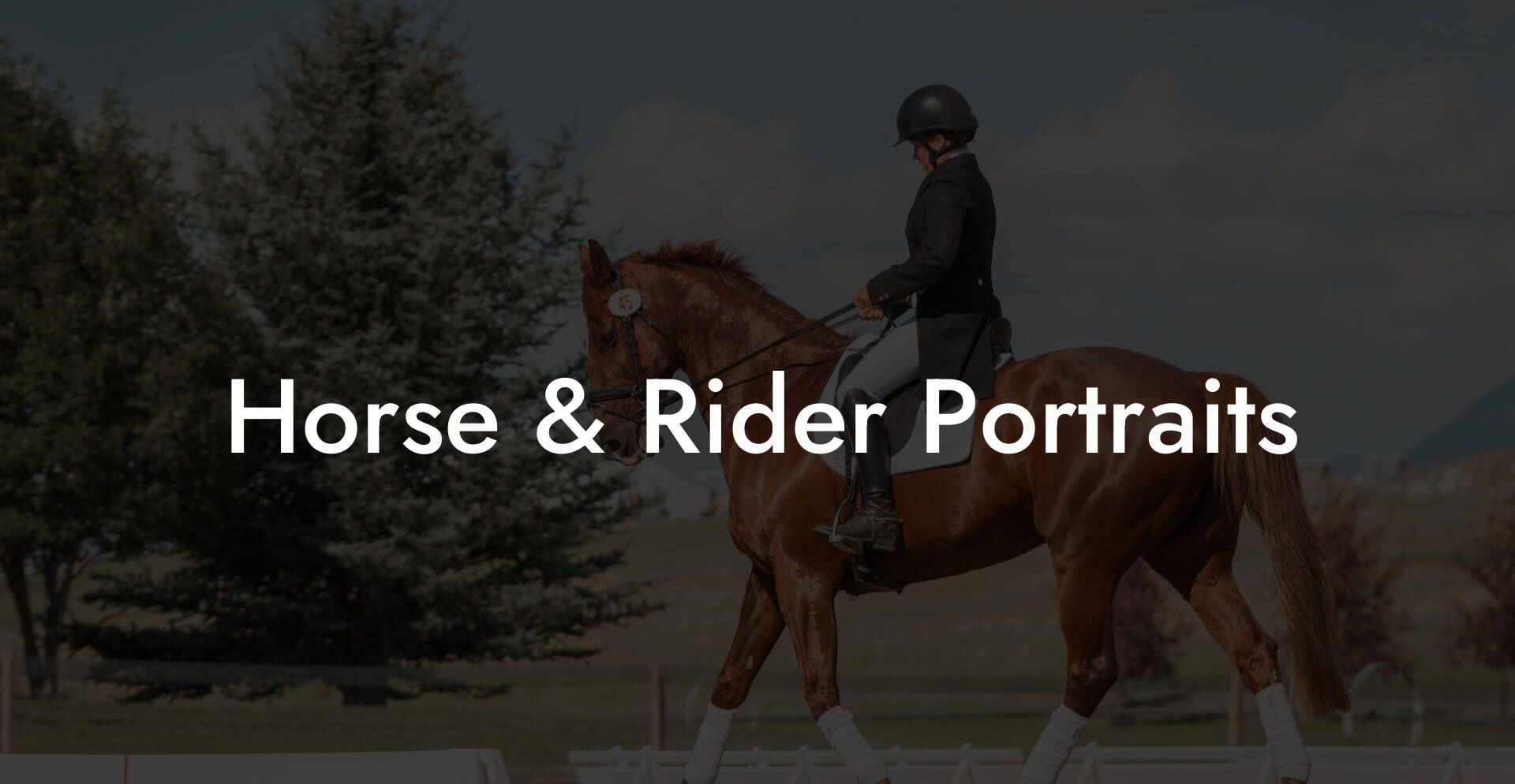 Horse & Rider Portraits - How To Own a Horse