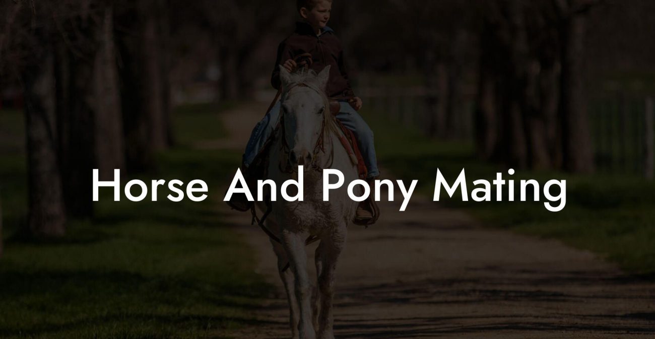 Horse And Pony Mating