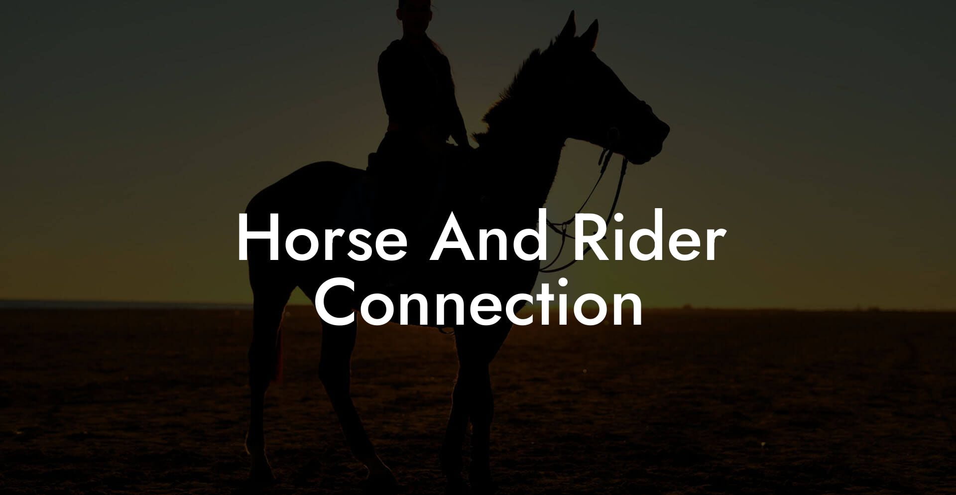 Horse And Rider Connection