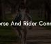 Horse And Rider Conroe