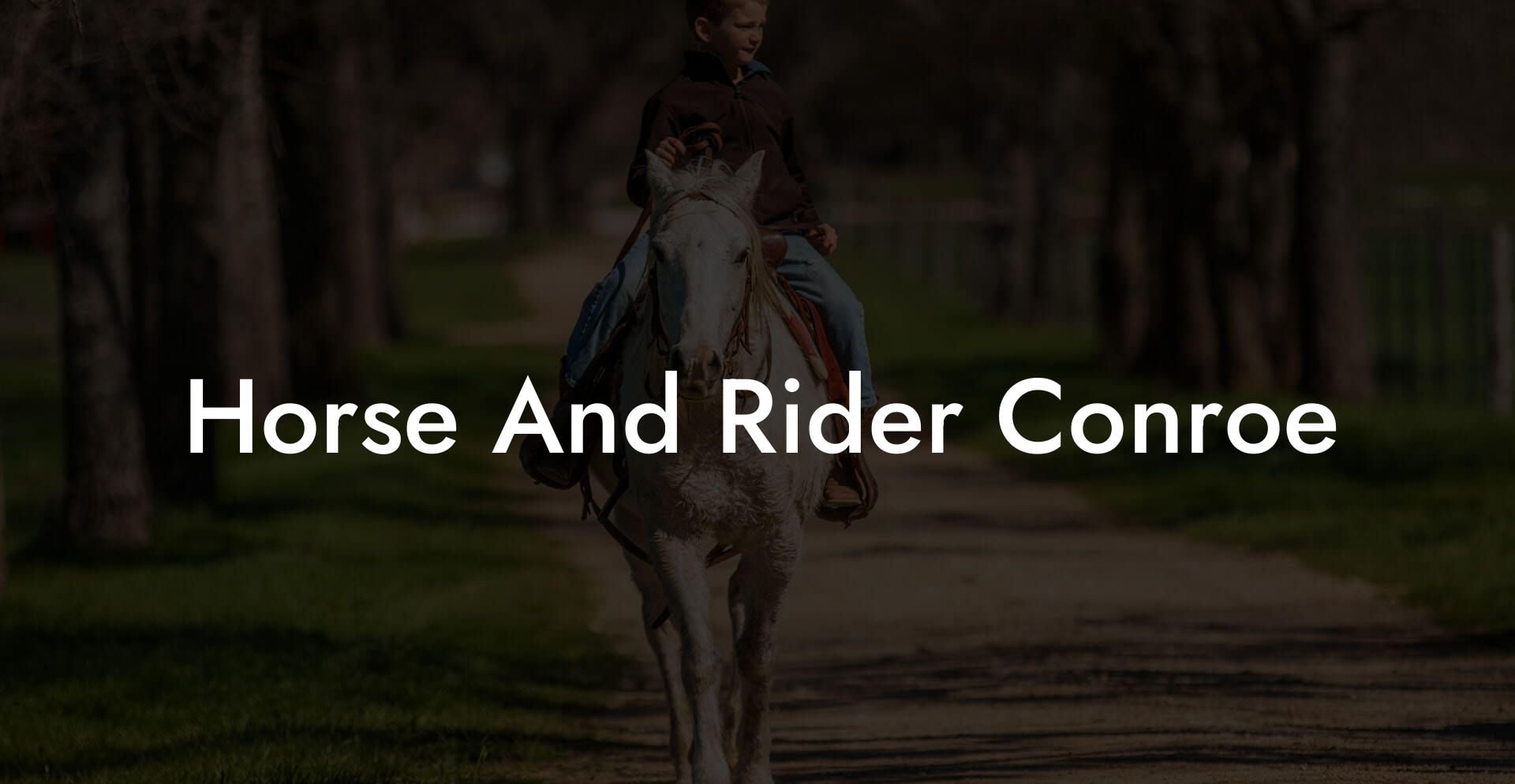 Horse And Rider Conroe