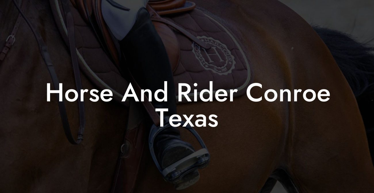 Horse And Rider Conroe Texas