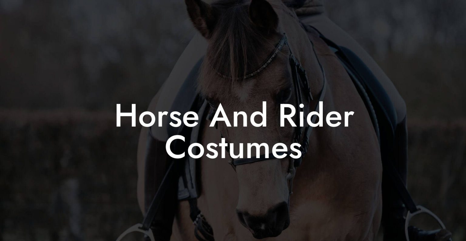 Horse And Rider Costumes How To Own a Horse