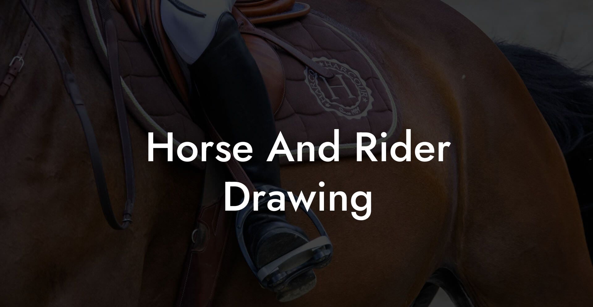 Horse And Rider Drawing