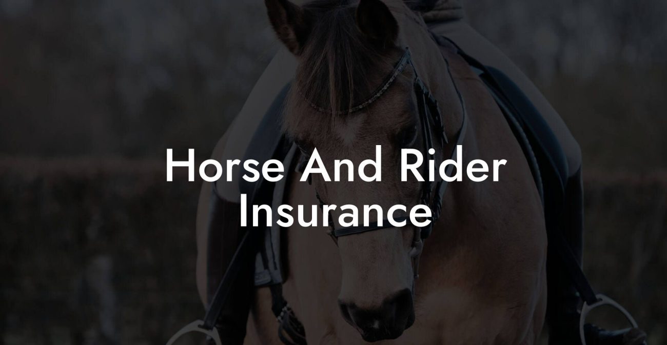 Horse And Rider Insurance